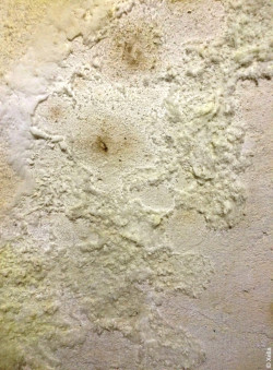 Auskristallisierte Salze auf der Wand