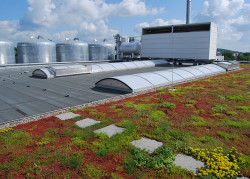 Extensive Dachbegrünung auf einem Industrieleichtdach Bildnachweis: Bauder